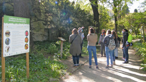 Un groupe écoute l'animateur du Jardin des Plantes