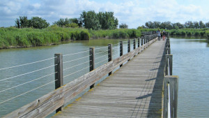 Un pont sur l'étang