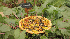 Une tarte aux légumes posée dans le potager à côté d'un panneau indiquant « chou-fleur »