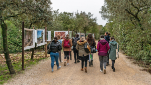 Un groupe d'agents de dos marche sur un sentier et longe une exposition photo