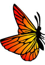 Illustration de papillon orange et jaune